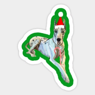 Christmas Harlequin Great Dane Dog Sticker